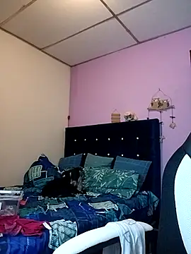 EllisW8 online show from 1, 2, 2026