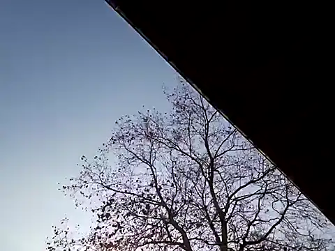 Mia Railey online show from 7, 3, 2025