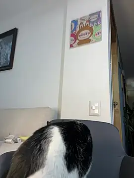 ananya sex1 online show from 15, 3, 2026