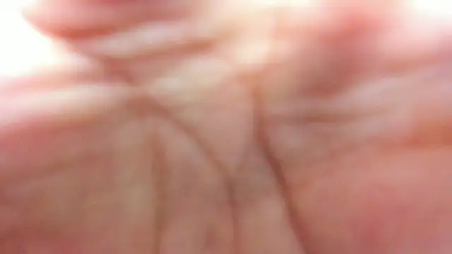 Snapshot of brutal_sex_room2 chatting on 16, 6, 2026 brutal sex room2 online show from 16, 6, 2026