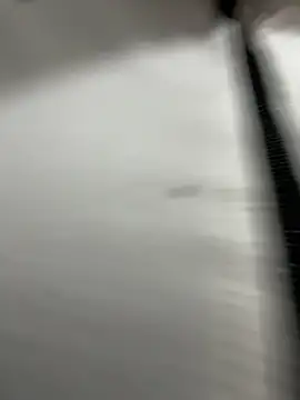kim monti online show from 20, 5, 2026
