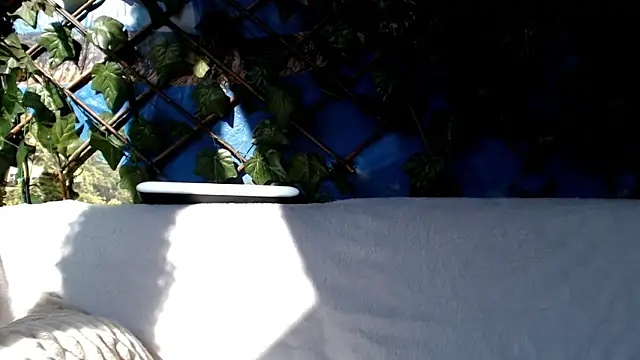 Bigboobs6930 online show from 3, 3, 2025