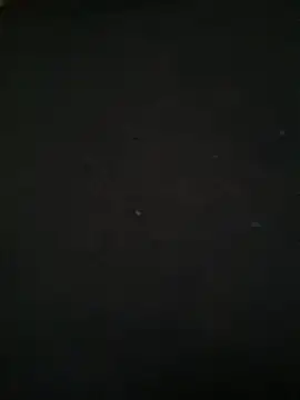 Ruby bear online show from 8, 3, 2025