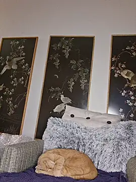 Hotbodyscottie online show from 1, 2, 2026