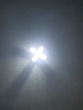 Ricorryxh online show from 24, 11, 2025