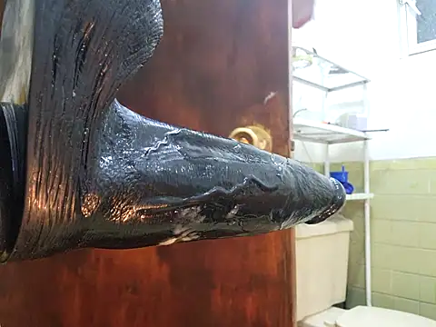 Ricorryxh online show from 12, 3, 2025