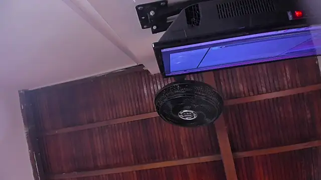 emily-fox online show from 13, 2, 2026