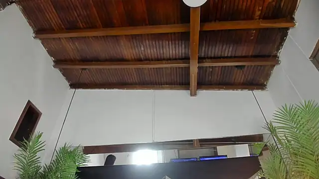 emily-fox online show from 31, 3, 2026