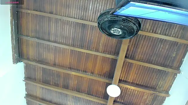 emily-fox online show from 6, 10, 2025