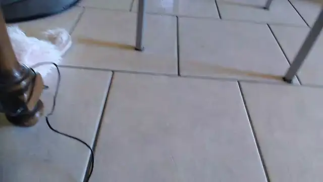 69porcellone69 online show from 2, 10, 2025