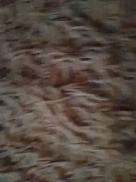 Foxyshaved online show from 13, 10, 2025