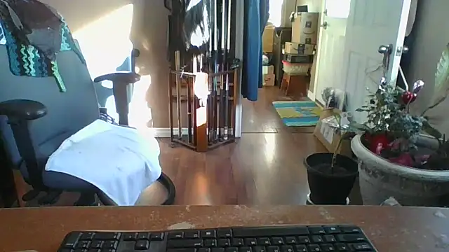 Snapshot of Daremeknot chatting on 10, 3, 2025 Daremeknot online show from 10, 3, 2025