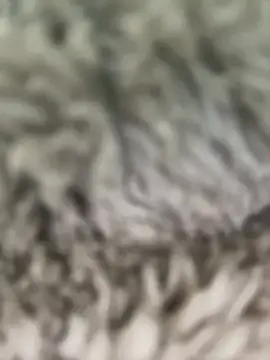 Hannagarces online show from 26, 2, 2026