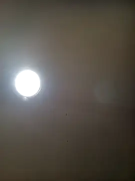 TrainedFinder5 online show from 16, 10, 2025