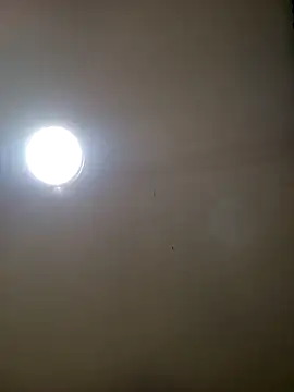 TrainedFinder5 online show from 14, 11, 2025