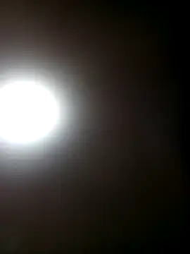 TrainedFinder5 online show from 9, 10, 2025