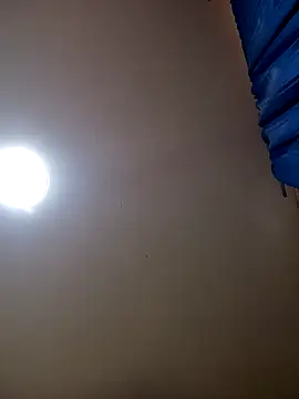 TrainedFinder5 online show from 8, 10, 2025