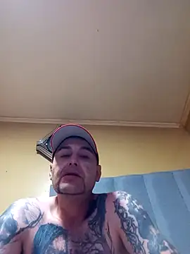 TrainedFinder5 online show from 20, 10, 2025