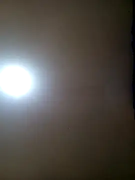 TrainedFinder5 online show from 11, 11, 2025