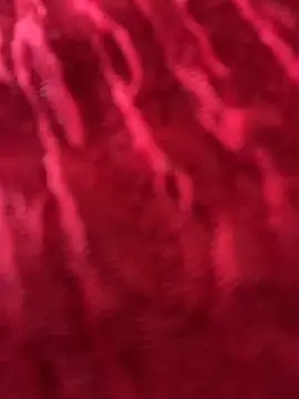 LikaCat online show from 26, 3, 2026