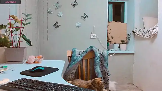 RosaJil online show from 15, 1, 2025