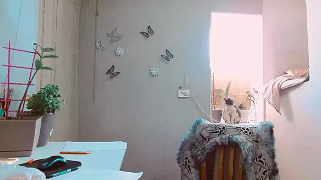 RosaJil online show from 12, 2, 2025