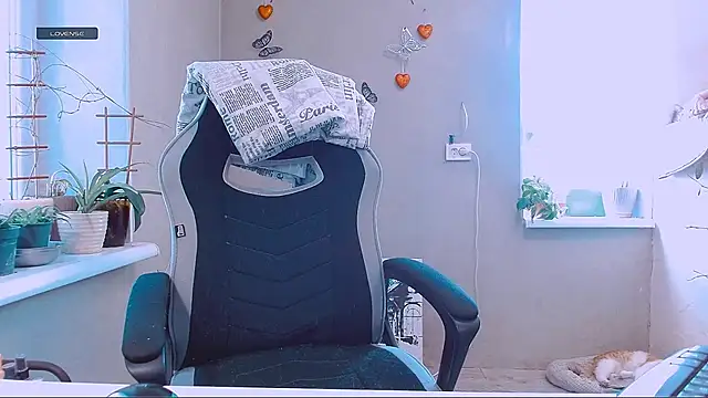 RosaJil online show from 1, 3, 2026