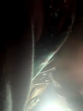 Followthepiper online show from 2, 11, 2025