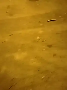 DANY49DANY49 online show from 4, 3, 2025