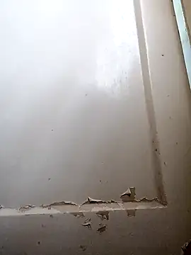 Rishimumbai hot online show from 9, 12, 2024