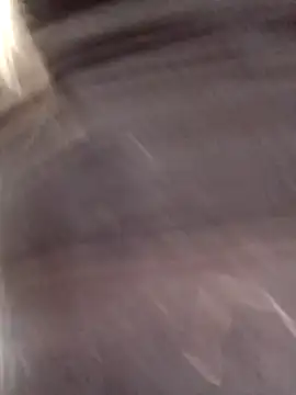 eva-2023 online show from 5, 3, 2025