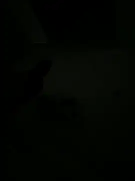 EleonoraMora86 online show from 14, 2, 2026