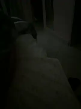 EleonoraMora86 online show from 12, 1, 2026