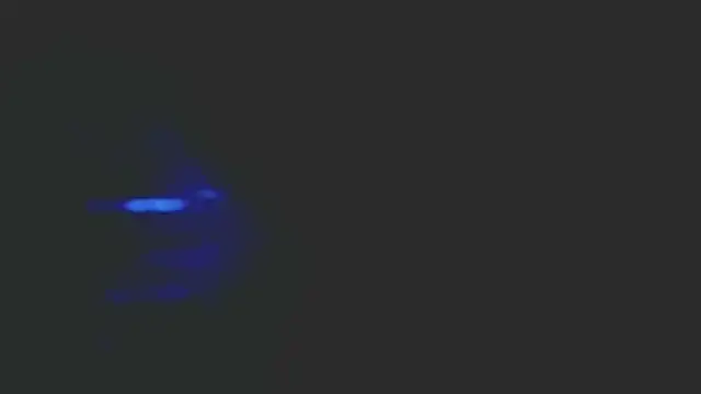 papillonhotofficial online show from 2, 4, 2026