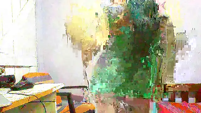 sachi933 online show from 29, 12, 2024