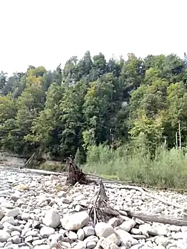 artXhibitor online show from 7, 10, 2025