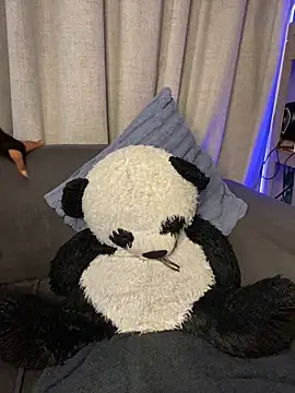 Snapshot of YellowHoneyDip chatting on 19, 2, 2026 YellowHoneyDip online show from 19, 2, 2026