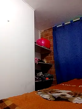 Cameron puppy online show from 30, 11, 2025