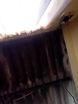 dantero online show from 27, 2, 2025