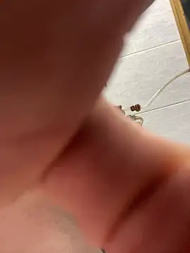 vanho29 online show from 2, 2, 2026