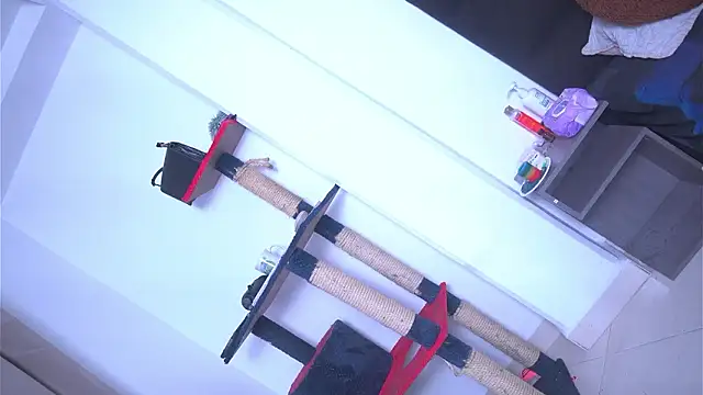 argiee taylorxs2 online show from 4, 3, 2026