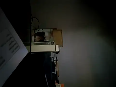 StiveMartin online show from 17, 11, 2025