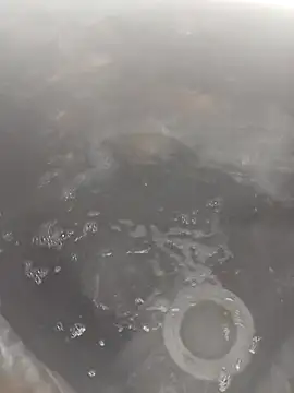 bella8769 online show from 21, 2, 2026