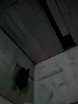 stargagh12 online show from 22, 3, 2026