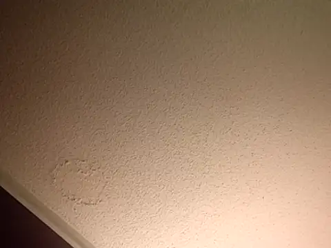 Treemandude online show from 10, 11, 2025