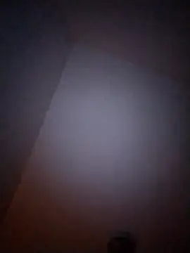 Treemandude online show from 6, 1, 2026
