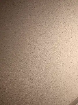 Treemandude online show from 13, 9, 2025