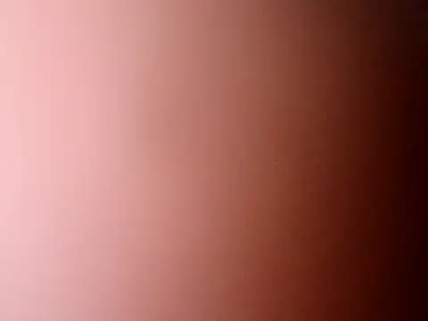 Treemandude online show from 20, 6, 2026