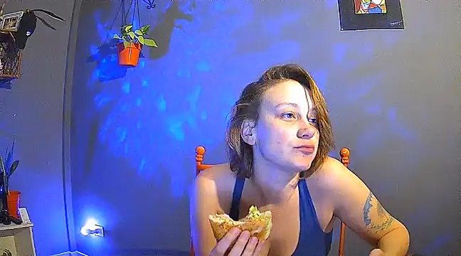 stupid babybird online show from 23, 3, 2025