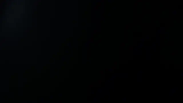 sara winehouse1 online show from 4, 1, 2025